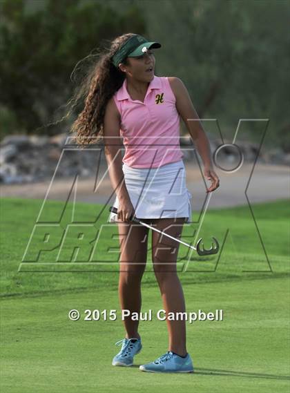 Thumbnail 1 in Horizon @ Desert Mountain photogallery.