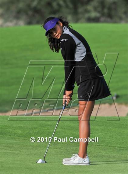 Thumbnail 2 in Horizon @ Desert Mountain photogallery.