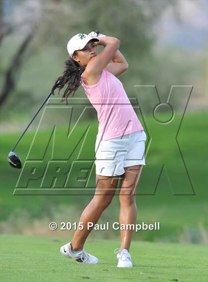 Thumbnail 2 in Horizon @ Desert Mountain photogallery.