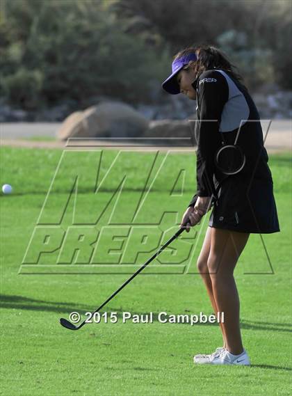 Thumbnail 1 in Horizon @ Desert Mountain photogallery.