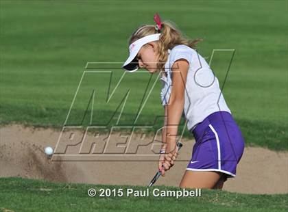 Thumbnail 2 in Horizon @ Desert Mountain photogallery.