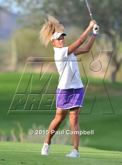 Thumbnail 3 in Horizon @ Desert Mountain photogallery.