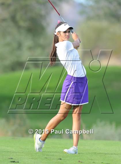 Thumbnail 2 in Horizon @ Desert Mountain photogallery.