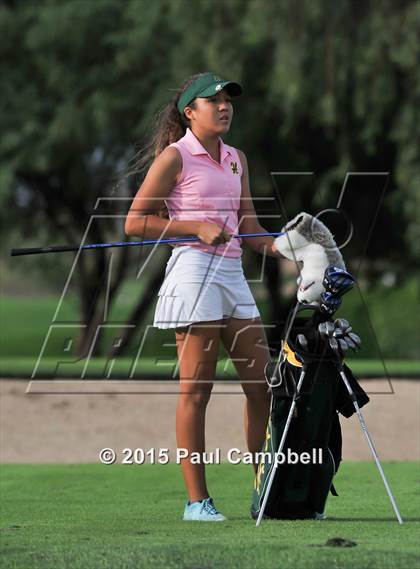 Thumbnail 3 in Horizon @ Desert Mountain photogallery.