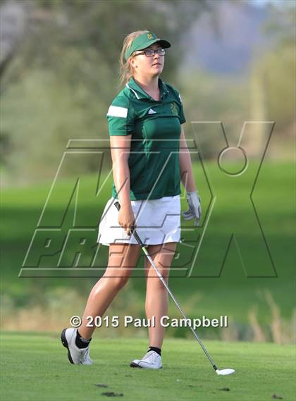Thumbnail 2 in Horizon @ Desert Mountain photogallery.
