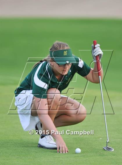 Thumbnail 2 in Horizon @ Desert Mountain photogallery.