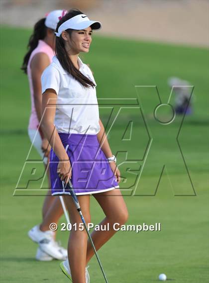 Thumbnail 3 in Horizon @ Desert Mountain photogallery.