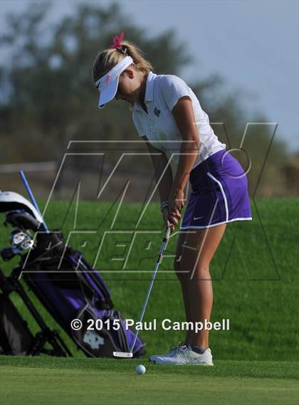 Thumbnail 3 in Horizon @ Desert Mountain photogallery.