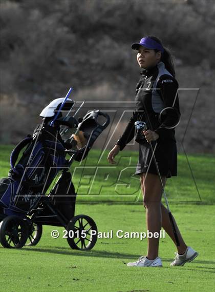 Thumbnail 2 in Horizon @ Desert Mountain photogallery.
