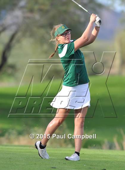 Thumbnail 2 in Horizon @ Desert Mountain photogallery.