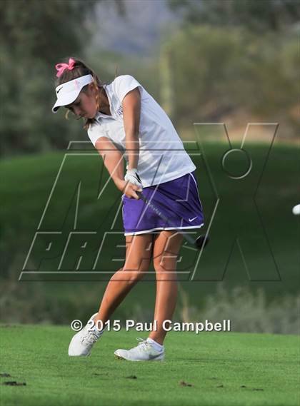 Thumbnail 2 in Horizon @ Desert Mountain photogallery.
