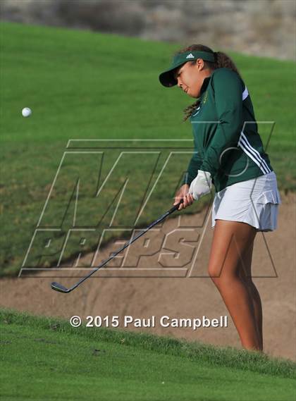 Thumbnail 3 in Horizon @ Desert Mountain photogallery.