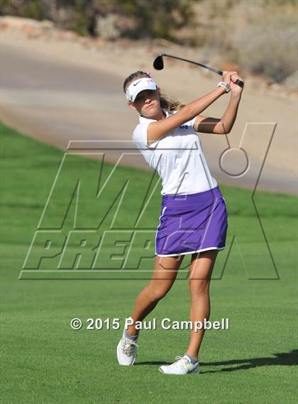 Thumbnail 2 in Horizon @ Desert Mountain photogallery.