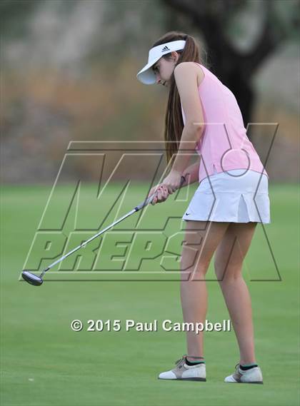 Thumbnail 3 in Horizon @ Desert Mountain photogallery.
