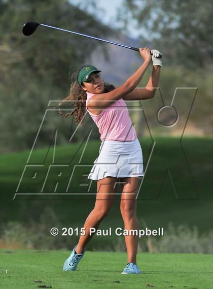 Thumbnail 2 in Horizon @ Desert Mountain photogallery.