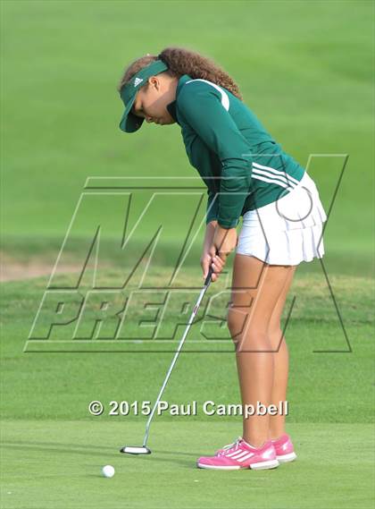 Thumbnail 2 in Horizon @ Desert Mountain photogallery.