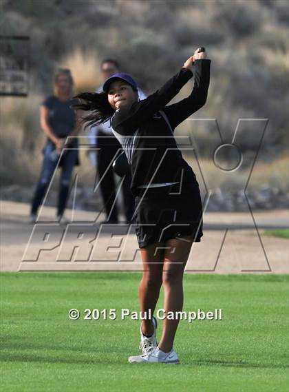 Thumbnail 3 in Horizon @ Desert Mountain photogallery.