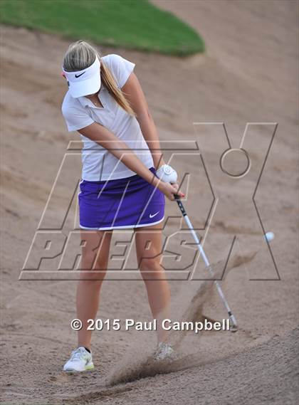 Thumbnail 2 in Horizon @ Desert Mountain photogallery.