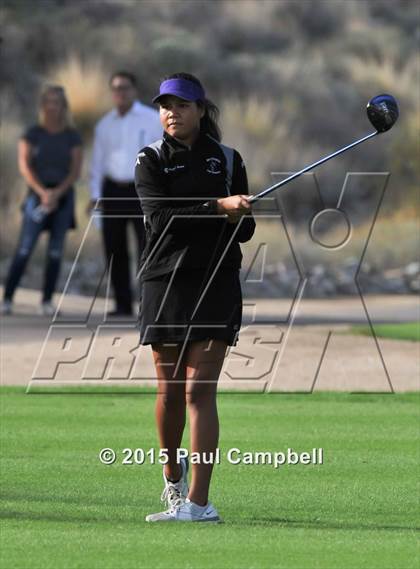 Thumbnail 3 in Horizon @ Desert Mountain photogallery.