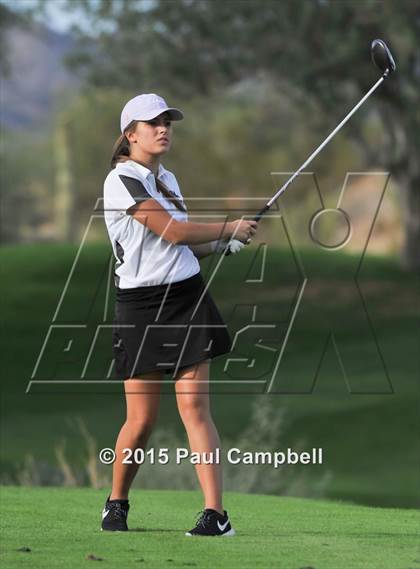 Thumbnail 3 in Horizon @ Desert Mountain photogallery.