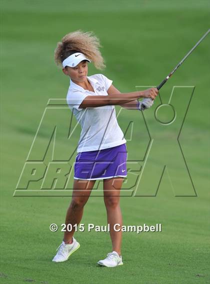 Thumbnail 2 in Horizon @ Desert Mountain photogallery.