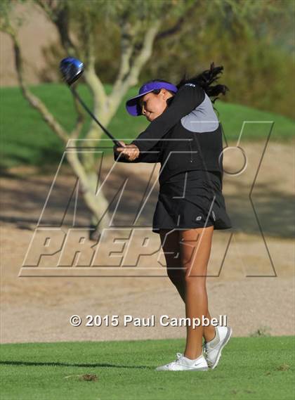 Thumbnail 1 in Horizon @ Desert Mountain photogallery.