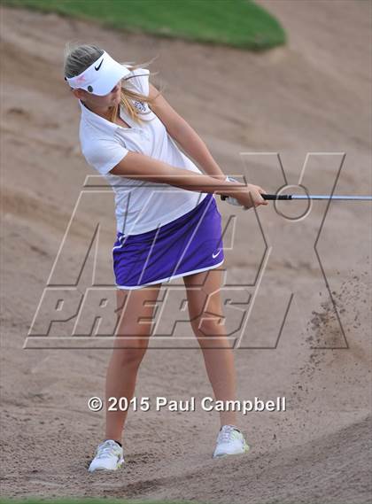Thumbnail 3 in Horizon @ Desert Mountain photogallery.