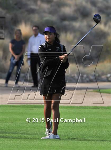 Thumbnail 2 in Horizon @ Desert Mountain photogallery.
