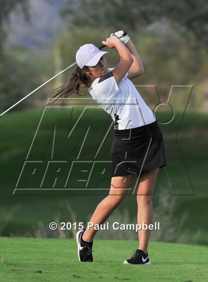 Thumbnail 1 in Horizon @ Desert Mountain photogallery.