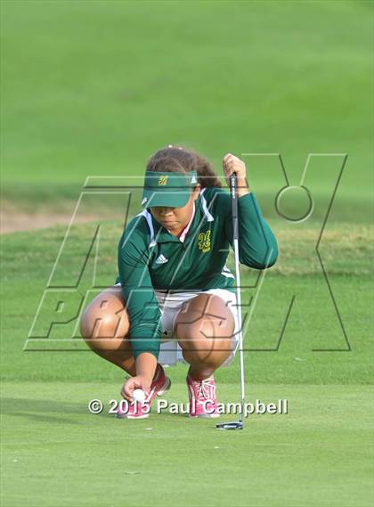 Thumbnail 2 in Horizon @ Desert Mountain photogallery.
