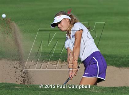 Thumbnail 3 in Horizon @ Desert Mountain photogallery.