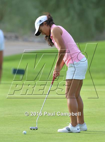 Thumbnail 2 in Horizon @ Desert Mountain photogallery.