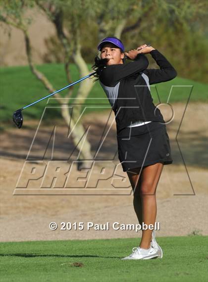 Thumbnail 2 in Horizon @ Desert Mountain photogallery.
