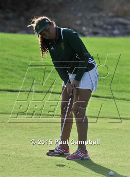 Thumbnail 2 in Horizon @ Desert Mountain photogallery.
