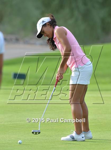 Thumbnail 3 in Horizon @ Desert Mountain photogallery.
