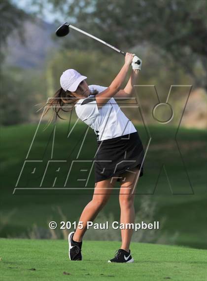 Thumbnail 3 in Horizon @ Desert Mountain photogallery.