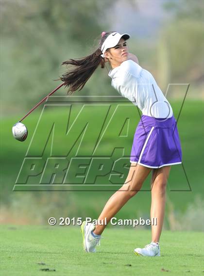 Thumbnail 1 in Horizon @ Desert Mountain photogallery.