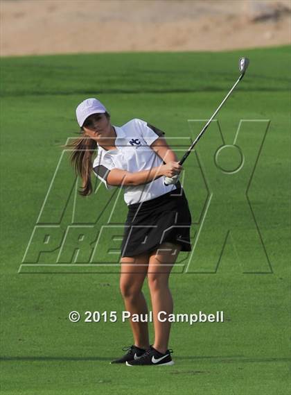 Thumbnail 3 in Horizon @ Desert Mountain photogallery.
