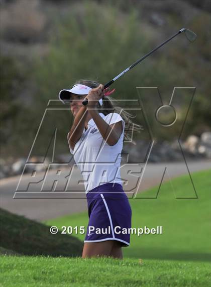 Thumbnail 3 in Horizon @ Desert Mountain photogallery.