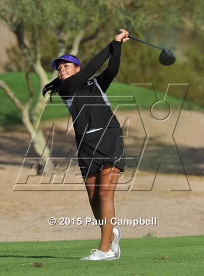 Thumbnail 3 in Horizon @ Desert Mountain photogallery.