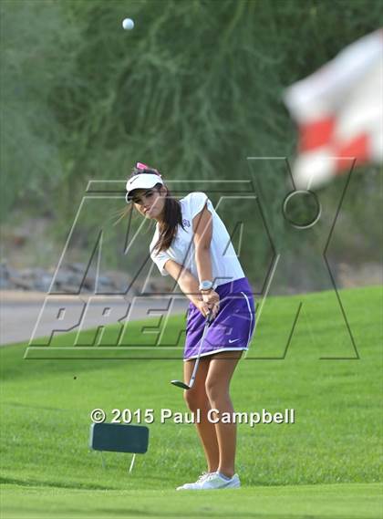 Thumbnail 2 in Horizon @ Desert Mountain photogallery.