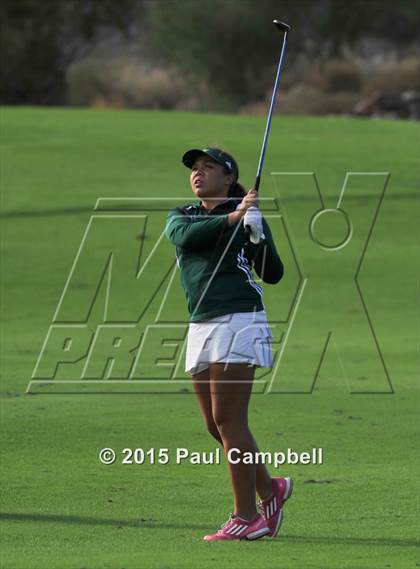 Thumbnail 3 in Horizon @ Desert Mountain photogallery.