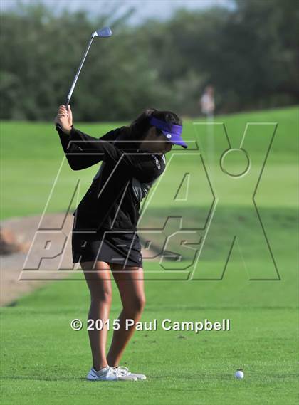 Thumbnail 3 in Horizon @ Desert Mountain photogallery.