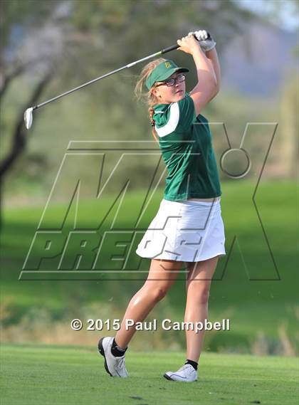Thumbnail 3 in Horizon @ Desert Mountain photogallery.