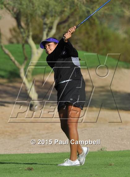 Thumbnail 2 in Horizon @ Desert Mountain photogallery.