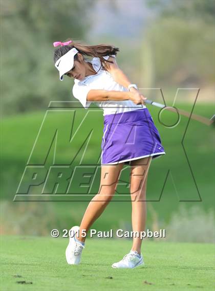 Thumbnail 3 in Horizon @ Desert Mountain photogallery.