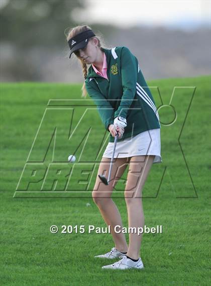 Thumbnail 3 in Horizon @ Desert Mountain photogallery.