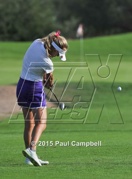 Thumbnail 2 in Horizon @ Desert Mountain photogallery.