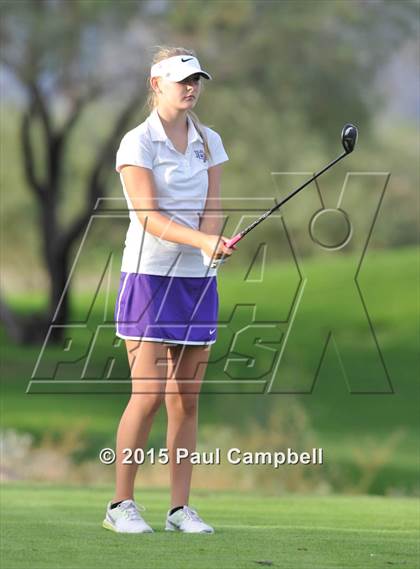 Thumbnail 3 in Horizon @ Desert Mountain photogallery.
