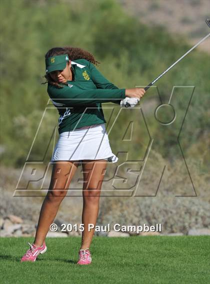 Thumbnail 2 in Horizon @ Desert Mountain photogallery.